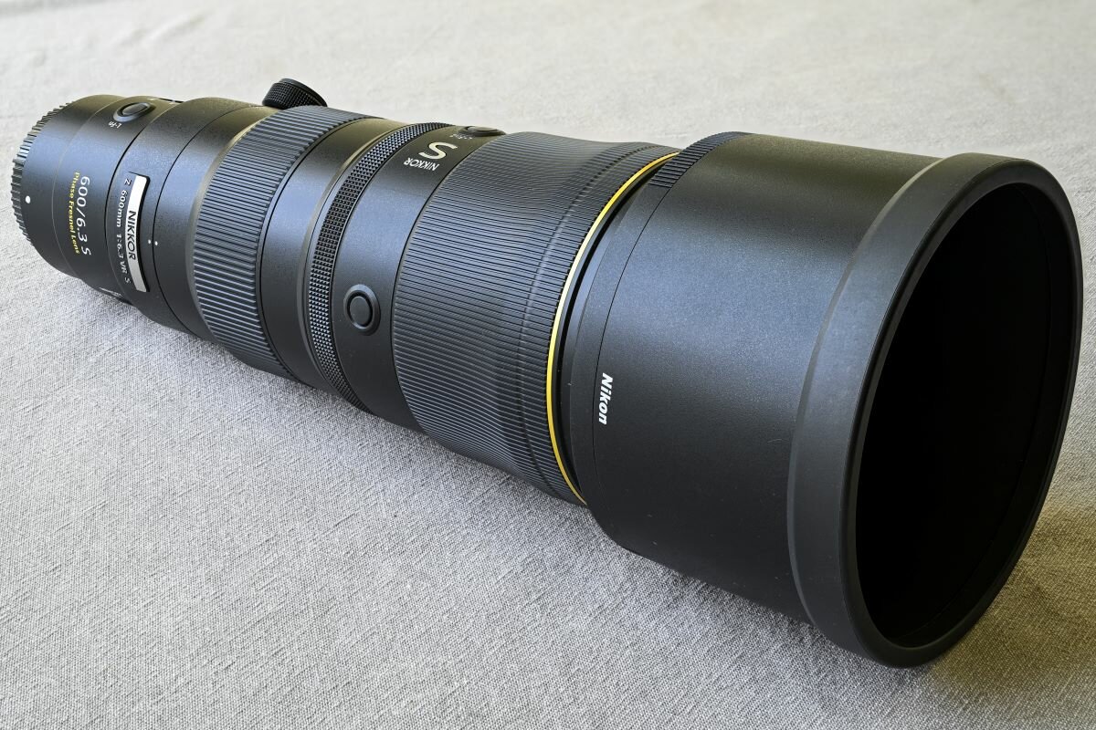Maggiori informazioni su "Nikkor Z 600mm f/6,3 VR S: il Ritrattista"